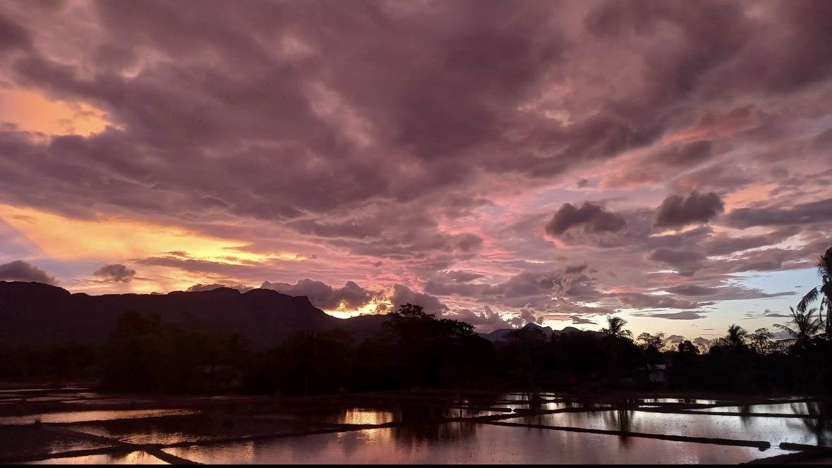 Shenaya Plantation - WhatsApp Image 2025 09 21 at 17.54.57 290527bd